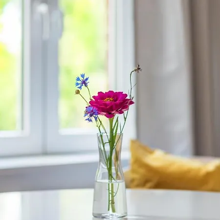Homestay Gaestezimmer St. Dionys Sankt Dionys